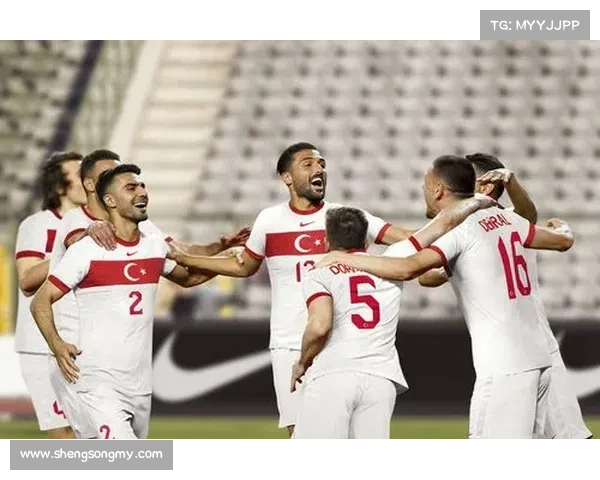 掌握最新资讯教你轻松查看土耳其国家队近期比赛安排详情